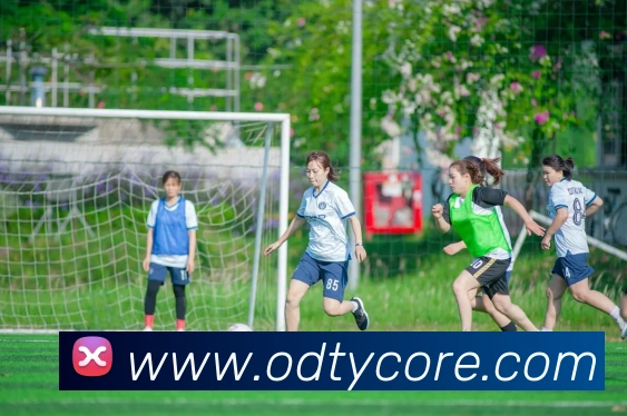 OD体育APP 封面图